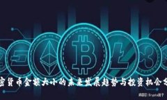 加密货币金额大小的未来发展趋势与投资机会分