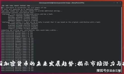 中国加密货币的未来发展趋势：揭示市场潜力与挑战