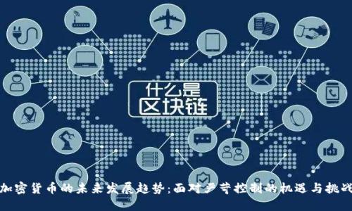 加密货币的未来发展趋势：面对严苛控制的机遇与挑战