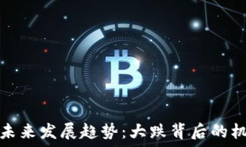   
加密货币未来发展趋势：大跌背后的机会与挑战