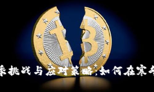 加密货币的冬季挑战与应对策略：如何在寒冬中生存与发展