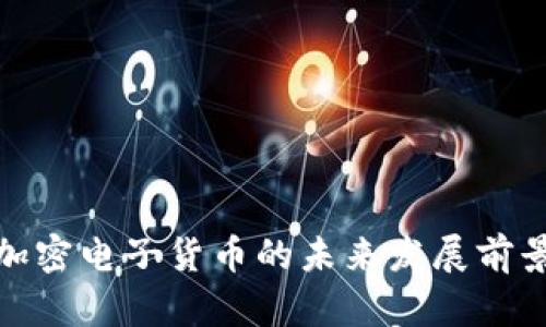 数字加密电子货币的未来发展前景探讨