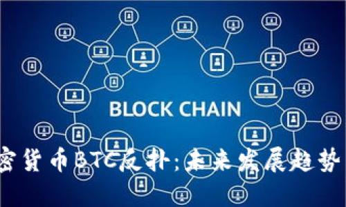 2024年加密货币BTC反扑:未来发展趋势与投资策略