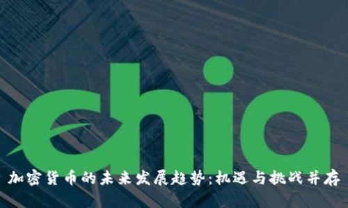 加密货币的未来发展趋势:机遇与挑战并存