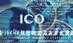 比特现金（BCH）钱包推荐与未来发展趋势解析