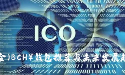 比特现金(BCH)钱包推荐与未来发展趋势解析