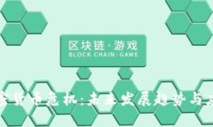全球加密货币危机：未来发展趋势与应对策略