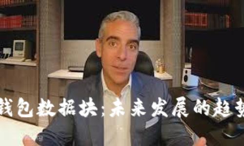 比特币钱包数据块:未来发展的趋势与挑战