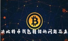 如何解决比特币钱包转错的问题及未来趋势