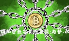 未来的中国加密数字货币集团：趋势、机遇与挑