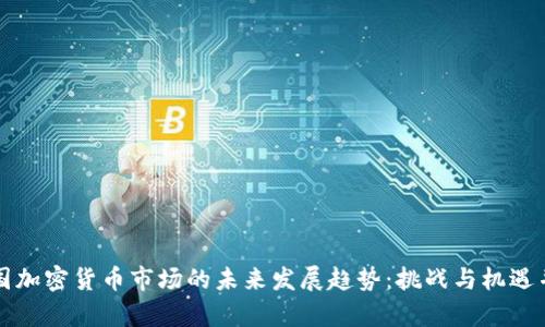 美国加密货币市场的未来发展趋势:挑战与机遇并存