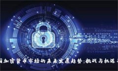 美国加密货币市场的未来发展趋势：挑战与机遇
