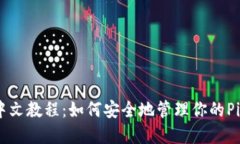 Pi钱包中文教程：如何安全地管理你的Pi币资产？