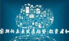 加密货币考察期的未来发展趋势：投资者如何把