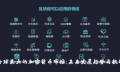 全球最大的加密货币市场：未来发展趋势与挑战