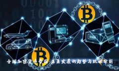 全球加密货币帝国：未来发展的趋势与现状分析