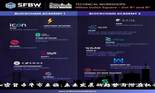 加密货币牛市来临：未来发展的趋势与潜在机会