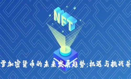 暴雪加密货币的未来发展趋势：机遇与挑战并存