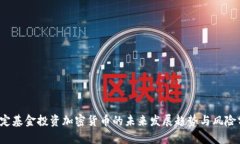  特定基金投资加密货币的未来发展趋势与风险分
