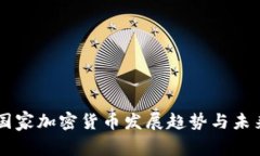 印度国家加密货币发展趋势与未来展望
