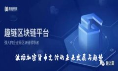 波场加密货币支付的未来发展与趋势