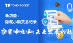 土耳其加密货币之王：未来发展的趋势与影响