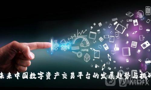 未来中国数字资产交易平台的发展趋势与挑战