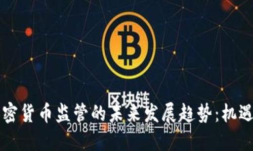 南非加密货币监管的未来发展趋势：机遇与挑战