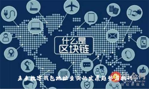 未来数字钱包地址查询的发展趋势与挑战