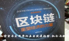 加密货币采用率的未来发展趋势：机会与挑战