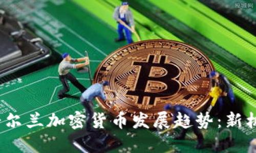 2024年爱尔兰加密货币发展趋势:新机遇与挑战