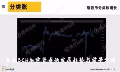未来BCH加密货币的发展趋势与前景分析