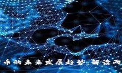 比特币与加密货币的未来发展趋势：解读两者关