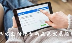USDT第三方支付平台的未来发展趋势与影响