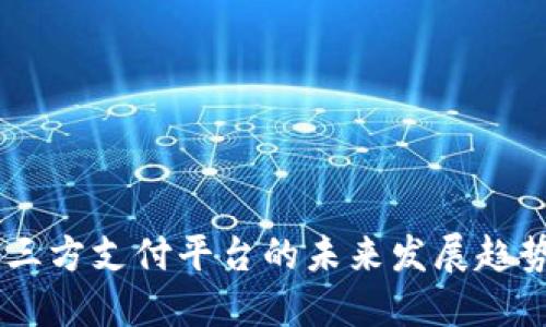 USDT第三方支付平台的未来发展趋势与影响
