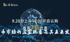 加密货币市场的庄家现象及其未来发展趋势