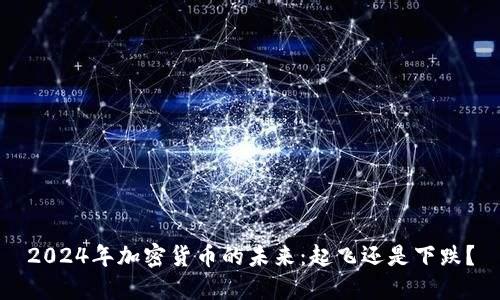 2024年加密货币的未来：起飞还是下跌？