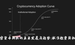 加密货币期权的未来发展与趋势：抓住投资新机