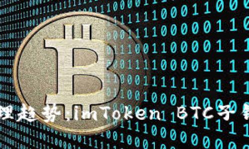 未来数字资产管理趋势：imToken BTC子钱包的崛起与发展
