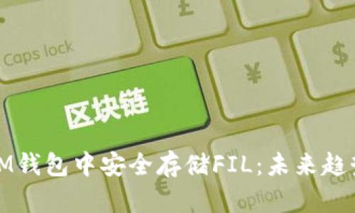 如何在IM钱包中安全存储FIL：未来趋势与发展